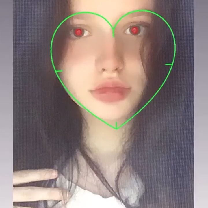 @meow7331